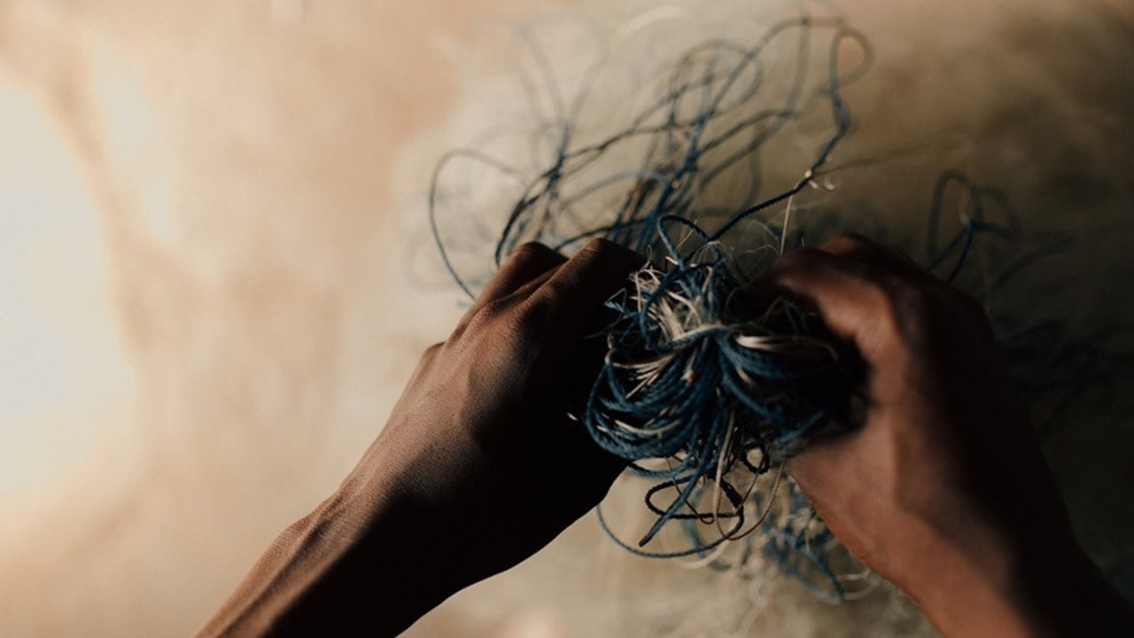 IJM fishing nets
